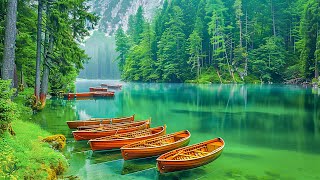 Healing Melodies of Nature  Restore Balance to Your Soul  Relaxing Music for Peace [upl. by Newbill]