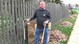 Fastest Way to Pick Up Leaves [upl. by Scuram]