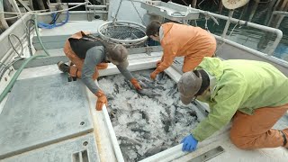 Lets Catch Some Rockfish  How Its Done Jigging in Alaska Start to Finish  Alaska Fishing [upl. by Zaria485]