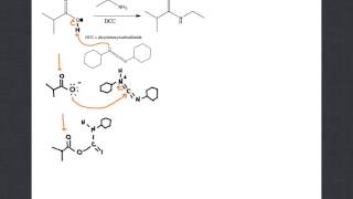 mechanism of amide formation with DCC [upl. by Sanburn793]