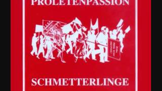 Die Schmetterlinge  Proletenpassion  109 Siegestanz [upl. by Ambie]