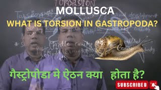 MOLLUSCA  WHAT IS TORSION IN GASTROPODA [upl. by Adgam]