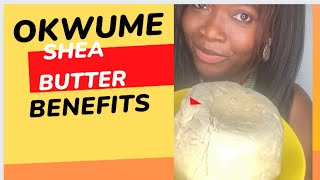 5 Benefits of Shea Butter  how to use ori Okwume benefits [upl. by Iorgos]