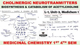 Cholinergic Neurotransmitter  Biosynthesis and Catabolism of Acetylcholine  L1 U3  Medichem 1 [upl. by Erida872]