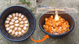 BEST Incubator For Chicken Eggs With 100 Efficiency  Chicken Hatchery  Chicken Egg Incubator [upl. by Alyssa]