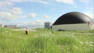 Laforge Bioenvironmental Biogas Facility [upl. by Artinahs]