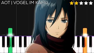 Attack on Titan OST  Vogel im Käfig  EASY Piano Tutorial [upl. by Babb]