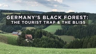 Germany’s Black Forest The Tourist Trap and the Bliss [upl. by Kaazi487]