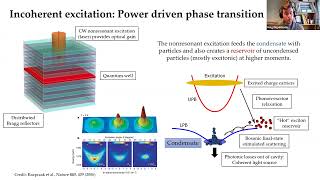 Programmable networks of excitonpolariton condensates [upl. by Gnanmos637]