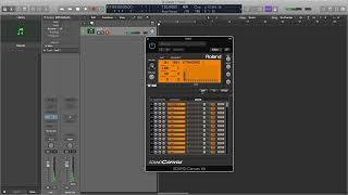 Mute Cuica and Open Cuica Oohs Sound Effect  Sample Demonstration [upl. by Sutphin]