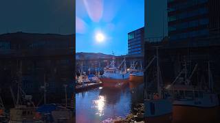 Sunshine on the fishing boats shorts music fishingboat landscape pixel7pro [upl. by Anelec]