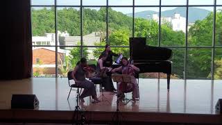 A Arensky Piano Trio No1 in D minor Op32 1Allegro moderato 송유진 바이올린 [upl. by Valma]