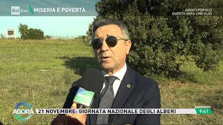 Giornata mondiale dellalbero  Agorà 21112023 [upl. by Neve]