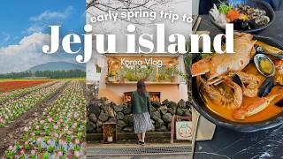 3 day Trip to Jeju Island Without a Car Flower fields aesthetic cafes what I ate Korea VLOG [upl. by Ringe38]