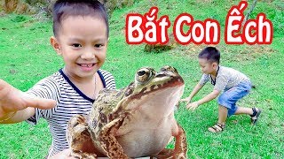 Trò Chơi Đi Bắt Con Ếch ❤ BonBon TV ❤ Trò Chơi Trải Nghiệm [upl. by Alil674]