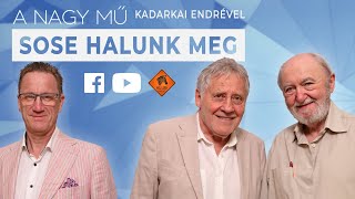 A nagy mű 003  SOSE HALUNK MEG  Koltai Róbert Nógrádi Gábor és Dudás Viktor [upl. by Misaq]