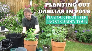 Planting Dahlias and Cosmos in Containers  Dahlia Planting in Pots  First Ever Front Garden Tour [upl. by Demahum]