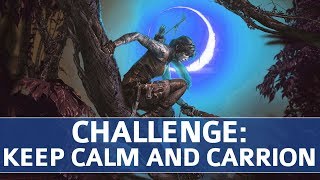 Shadow of the Tomb Raider  The Hidden City Challenges Keep Calm and Carrion Condor Feathers [upl. by Imugem]