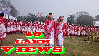 Kancha Sona Jhumoir Dance Exhibition New HD Jhumoir Assam Deser Chai k bagane DIBRUGARH ASSAM [upl. by Kidder]