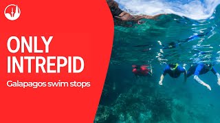 Only Intrepid Galapagos swim stops [upl. by Eirollam]