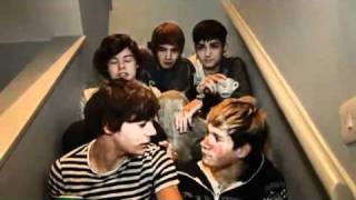 Week 5  One Direction Video Diary [upl. by Nehepts]