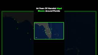 50 Years Of Harmful Algal Blooms Around Florida [upl. by Stoll]