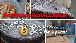 Aufbrauchchallenge Tag 3  Gefrierschrank leeren amp Geld sparen 💰 [upl. by Pesek]