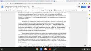 Argumentative Essay Example [upl. by Juliana]