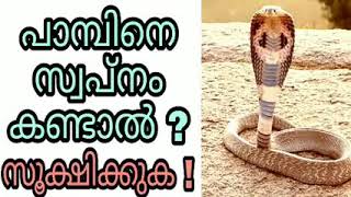 snake swapnam kandal swapna vyakyanam islam malayalam islamic speech phalam pambine sopna vakyanam [upl. by Nnylak185]