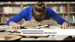 Examentraining Economie Samenvatting Domein H  22 Wisselkoersen [upl. by Rains]