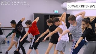 Interview Jesse Callaert amp ÈveMarie Dalcourt NDT Summer Intensive 2019 [upl. by Milburn]