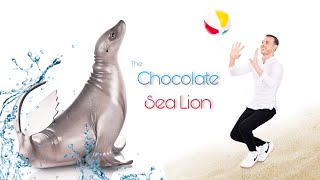 CHOCOLATE SEA LION [upl. by Etnwahs658]