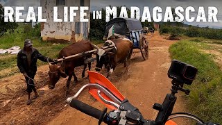 No electric cars Oxwagons instead MADAGASCAR 🇲🇬S7E94 [upl. by Fayette]