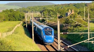 Lumo 803 005 passes through Berwickshire at speed [upl. by Nalyr]