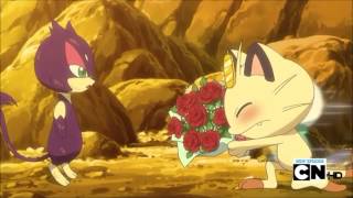 Meowth and Oshawott asking purrloin out [upl. by Channa]