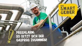 Wie setzt sich der Gaspreis eigentlich zusammen SMARTGEBER Paul klärt auf [upl. by Gascony565]