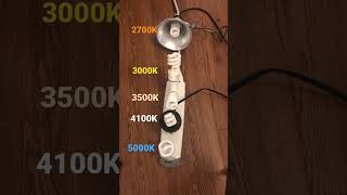 5000K Vs 4100K Vs 3500K Vs 3000K Vs 2700K CFL Comparison shorts cfl colortemperature [upl. by Oiluj455]