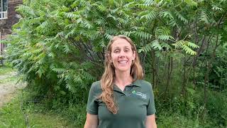 The Nature School at TRCA [upl. by Waldo]