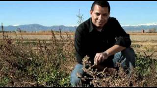 The Parable of the Sower  The Thorns [upl. by Obediah]