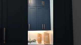 HOW TO USE COLOR PAINT ON CABINETS  PAINT YOUR CABINETS SAY BYE TO WHITE PAINT [upl. by Isnam121]