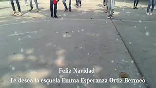 Escuela Emma Esperanza Ortiz Bermeo en víspera de Navidad 2016 [upl. by Aenal354]