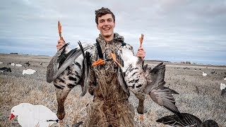 INSANE Speckle Belly and Cackler Goose Hunt With a Speck Band [upl. by Ettesil]