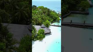 Ellaidhoo Maldives by Cinnamon Your gateway to an unforgettable island getaway [upl. by Airdnoed817]