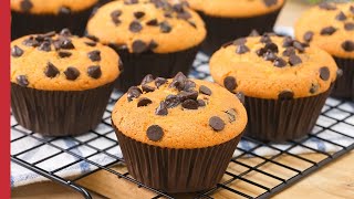 Chocolate Chip Cupcakes  Easy amp Basic Cupcake Recipe 🧁🍫 [upl. by Brunelle]