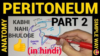 Peritoneum Part2  Lesser sac  Greater sac  Abdomen  Anatomy [upl. by Main]