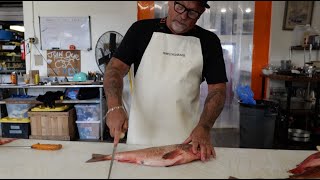 How to fillet a Rockfish [upl. by Rizan]