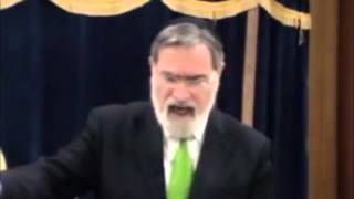 The Hidden Story of Chanukah  Rabbi Jonathan Sacks [upl. by Granoff585]