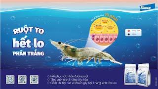 Hướng dẫn sử dụng sản phẩm Aquador® cho tôm  ELANCO VIỆT NAM [upl. by Kopple]