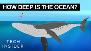 This Incredible Animation Shows How Deep The Ocean Really Is [upl. by Aremat]