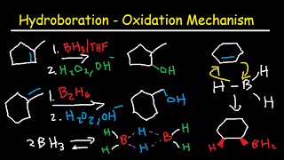 Hydroboration Oxidation Mechanism of Alkenes  BH3 THF H2O2 OH Organic Chemistry [upl. by Dedrick495]